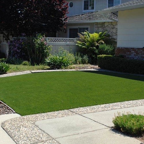 Lush Nutmeg Landscape Turf